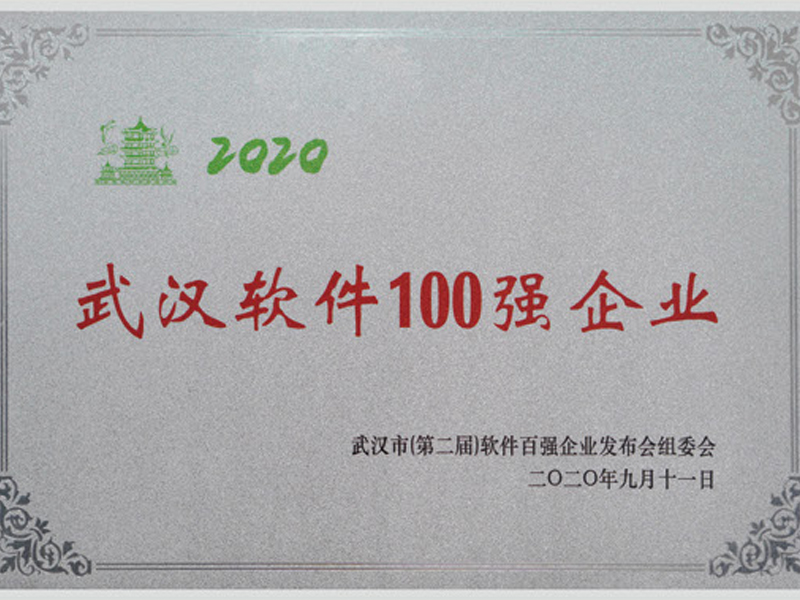 武汉软件100强企业